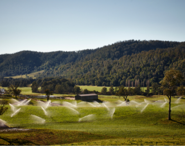 Irrigation system